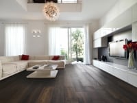 Modern living room with wood floor